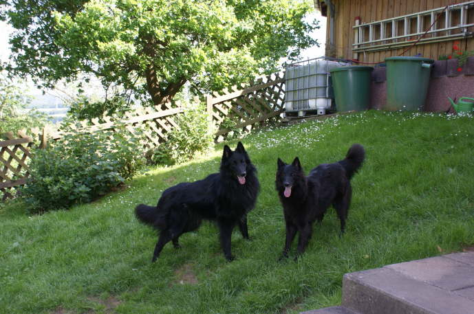 Aisha und Asco im Garten 