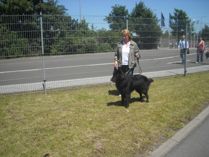 Asco und Frauchen in Erfurt