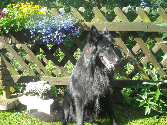 Asco v. Johannisbach, 18.06.2009