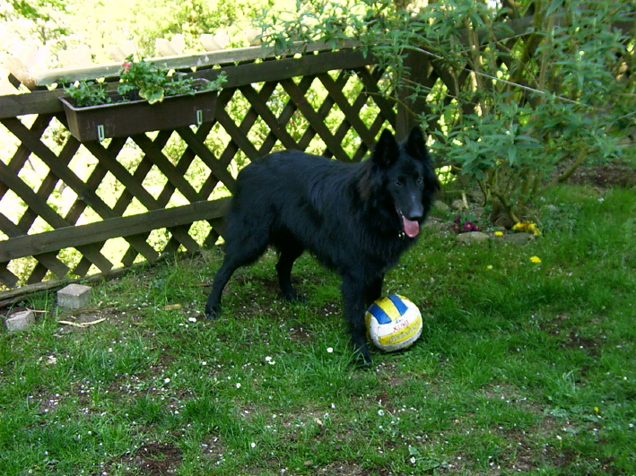 Asco beim Fu�balltraining,04.2007