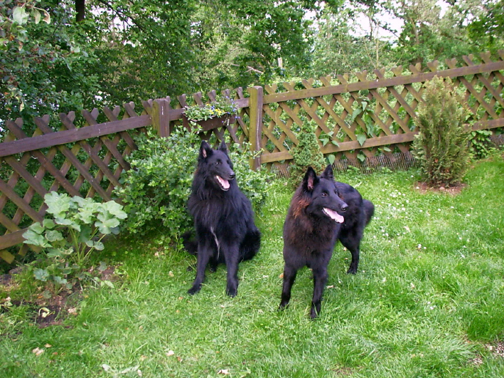 Asco und Aisha, Fr�hjahr 2009