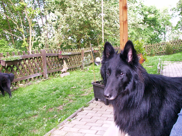 Ist es nicht ein Sch�ner ?